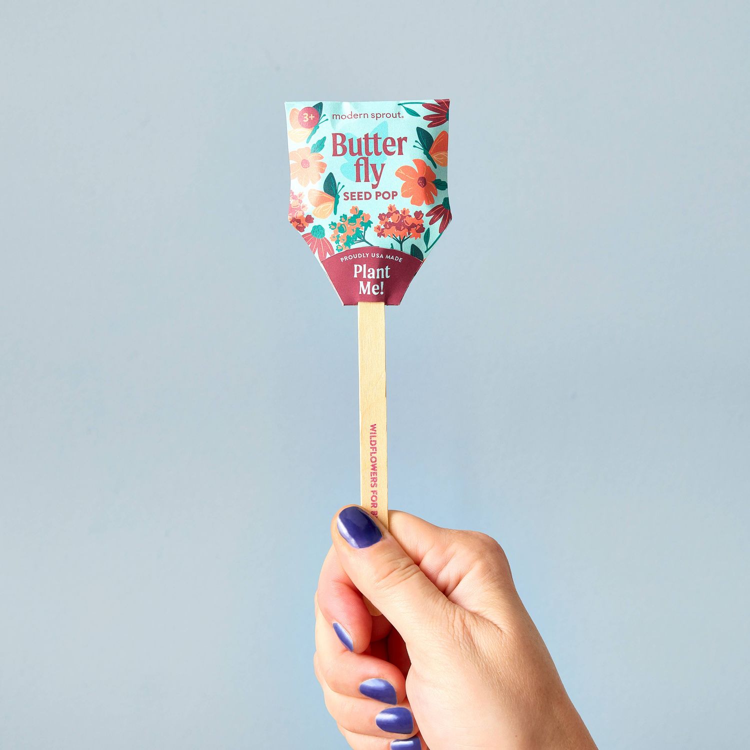 Modern Sprout - Pollinator Seed Pop (Single): Butterfly