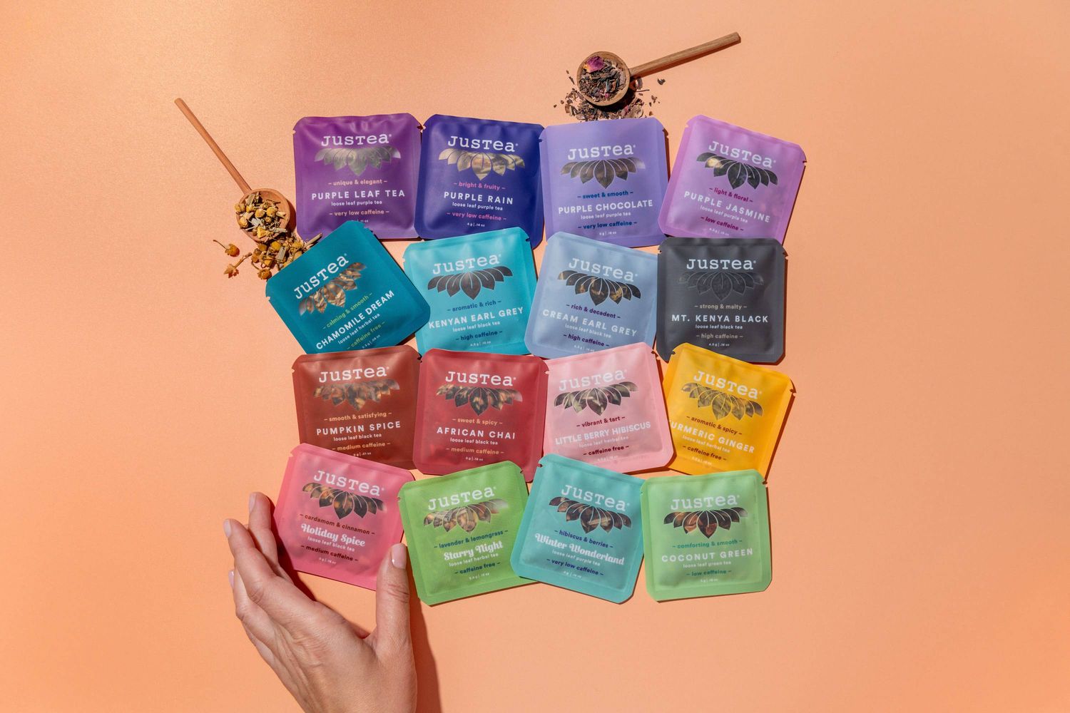 JusTea (No Import Fees to USA) - TEA SAMPLER Variety No. 2 = 5 Tea Blends in 25 Mini Pouches