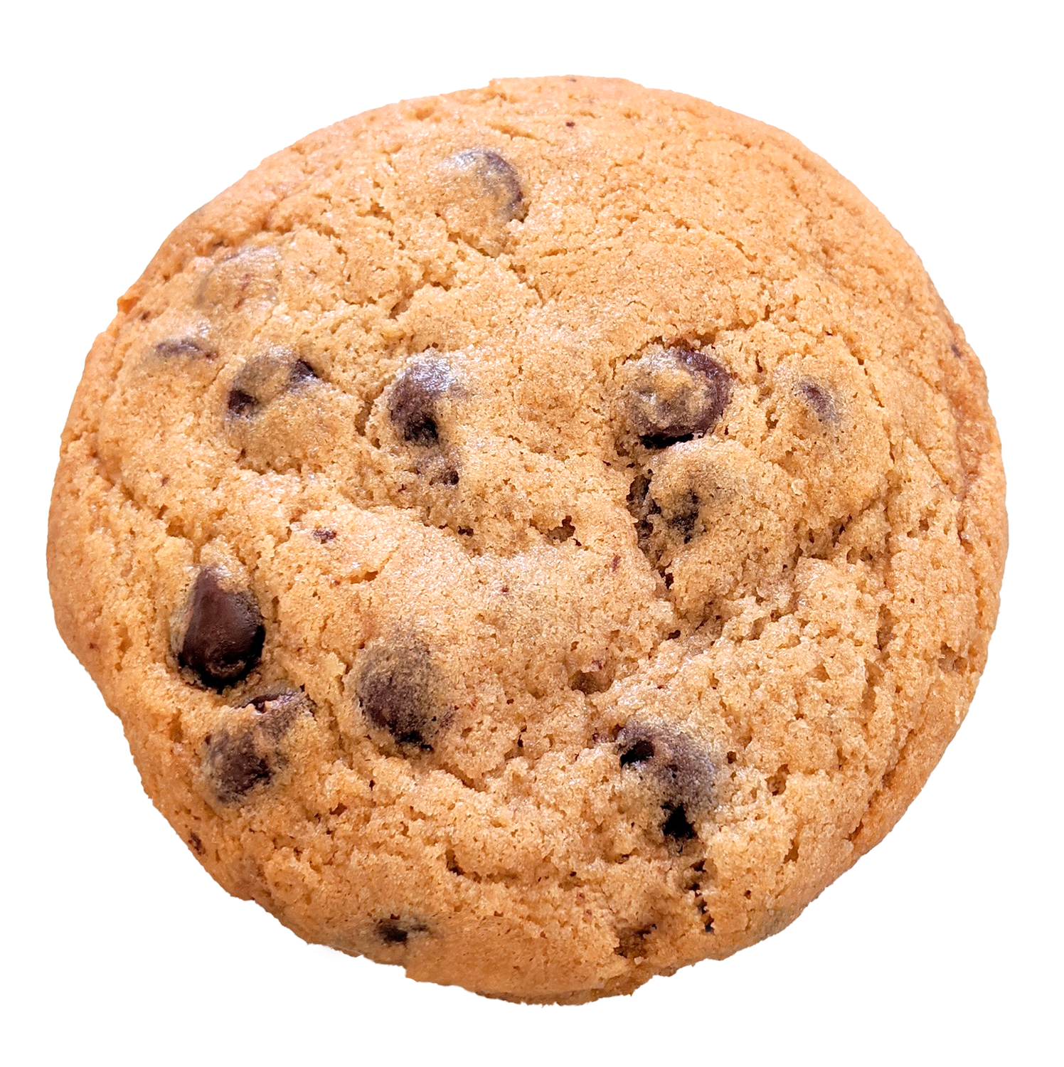 Bella's Home-Baked Goods - Chocolate Chip Cookie