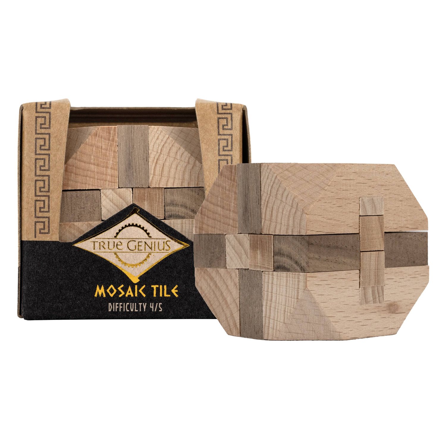 Project Genius - True Genius Mosaic Tile Puzzle