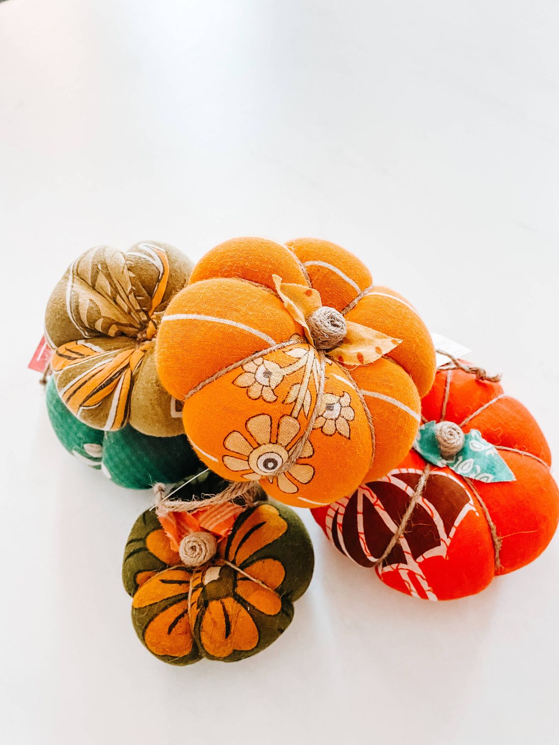 Asha Project - Saree Pumpkin | Medium