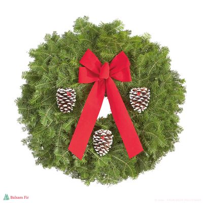 White-Tipped Pinecone Accents