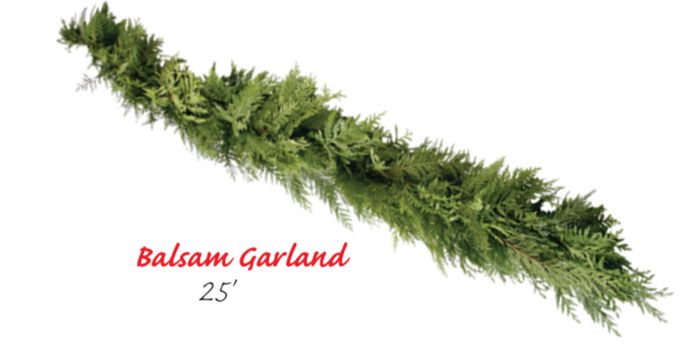 Balsam Garland 25'