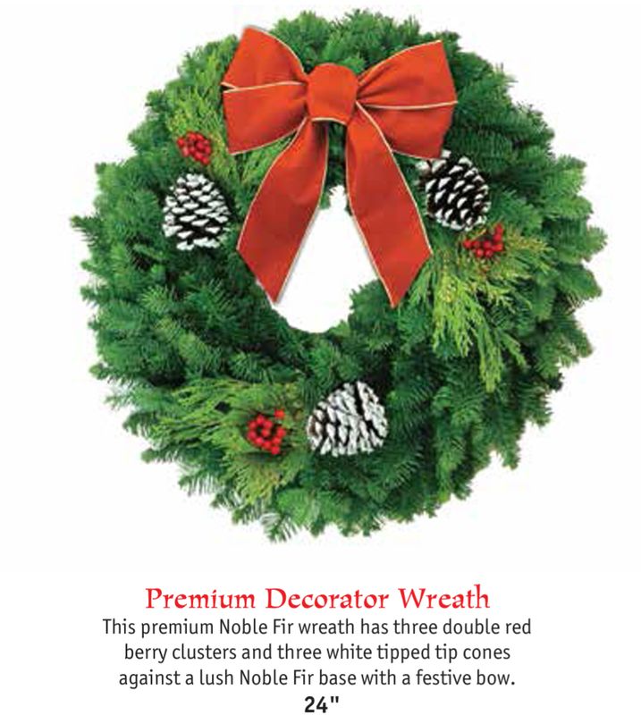 Direct Ship - Premium Decorator Wreath 24"