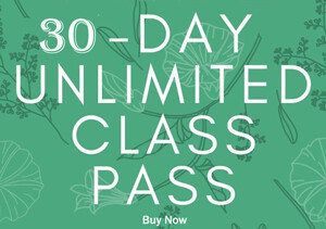 30 Day Monthly  Class Pass - All Classes