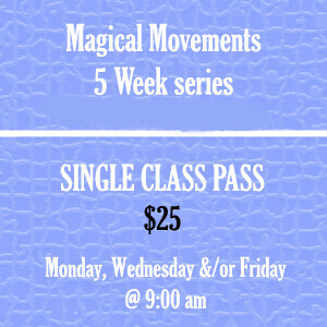 Single Day Class Pass - Monday, Wednesday and or Friday.
