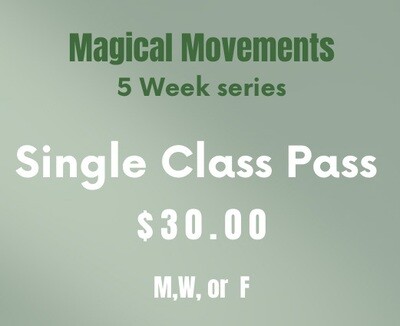 Single Day Class Pass - (M,W or F)