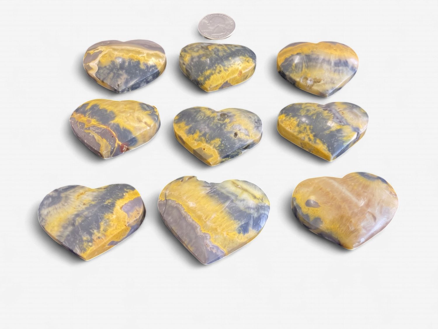 Bumblebee Jasper Hearts $25