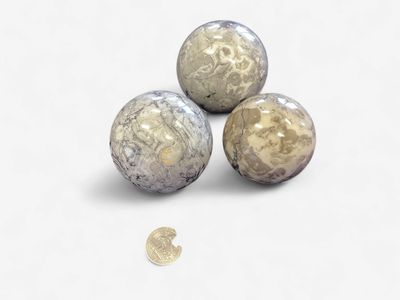 Fossil Jasper sphere $45