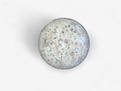 Kiwi Jasper Large