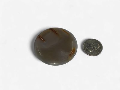 Agate palm disc $6
