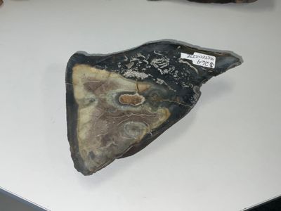 Matterrite Meteorite $264
