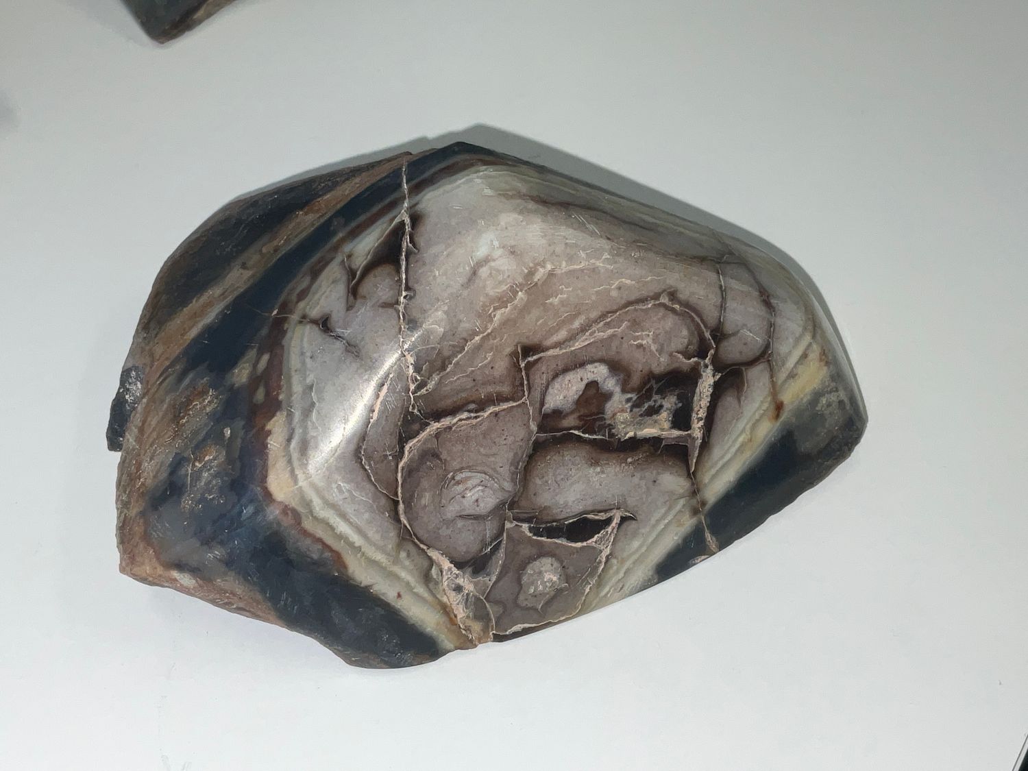 Matterrite Meteorite $470