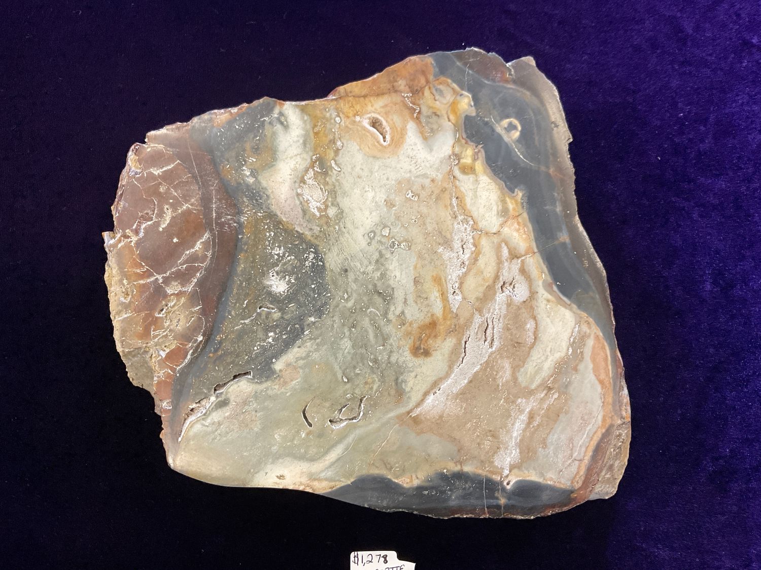 Matterrite Meteorite $1,279