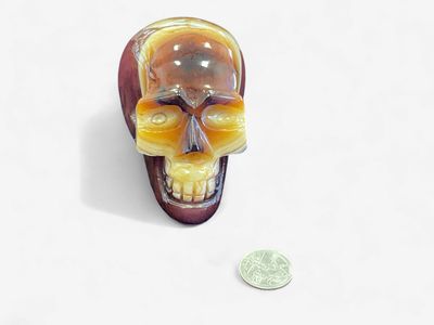 Sardonyx Skull $89