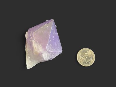 Amethyst Root $19