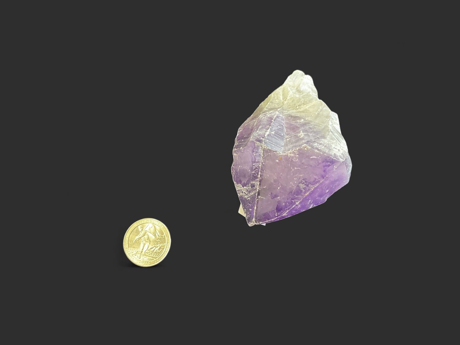 Amethyst root $29