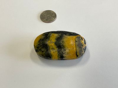 Bumblebee Jasper Palm $30