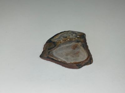 Matterrite Meteorite $31