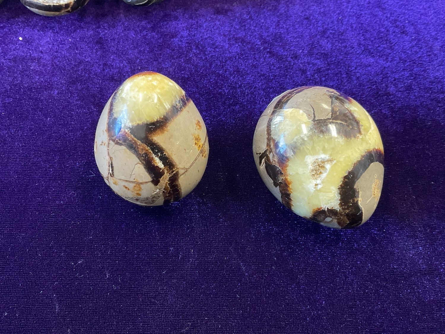 Septarian Eggs, cost: $19