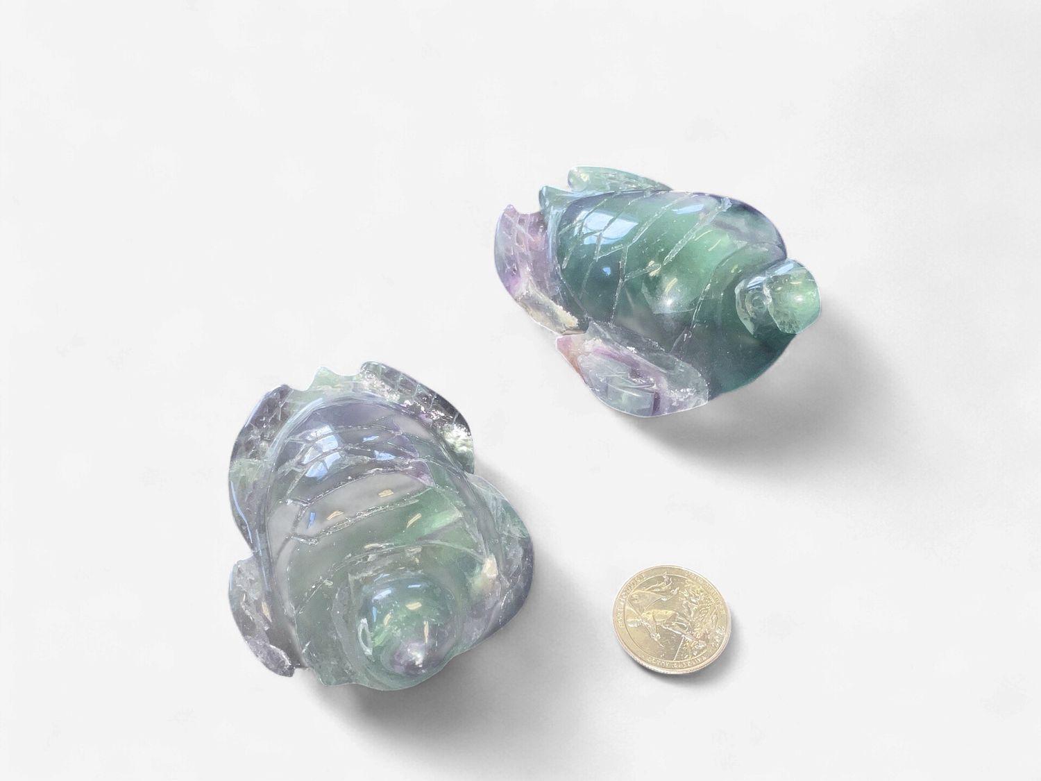 Fluorite Turtle Carving $29