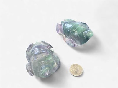 Fluorite Turtle Carving $29