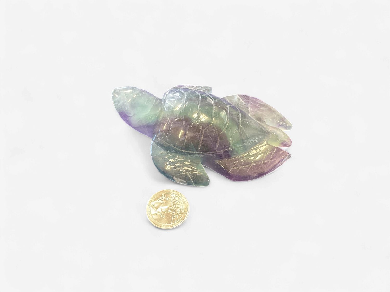 Fluorite Turtle $39