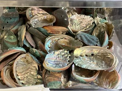 Abalone Smudge Dish small $3