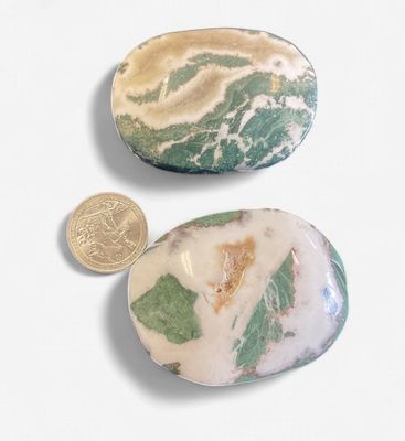 Unicorn Jasper Palm Stone