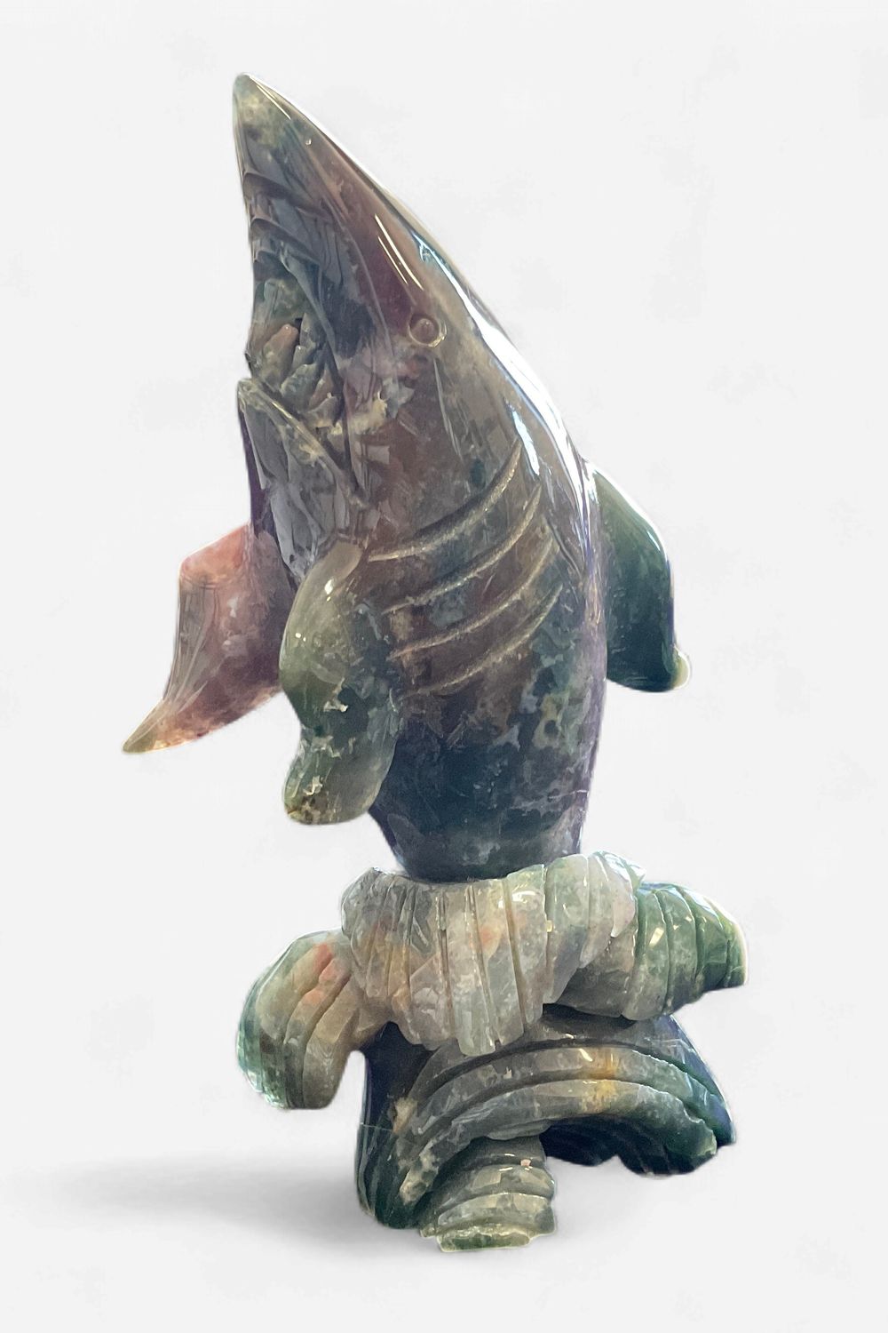 Ocean Jasper Wave Shark