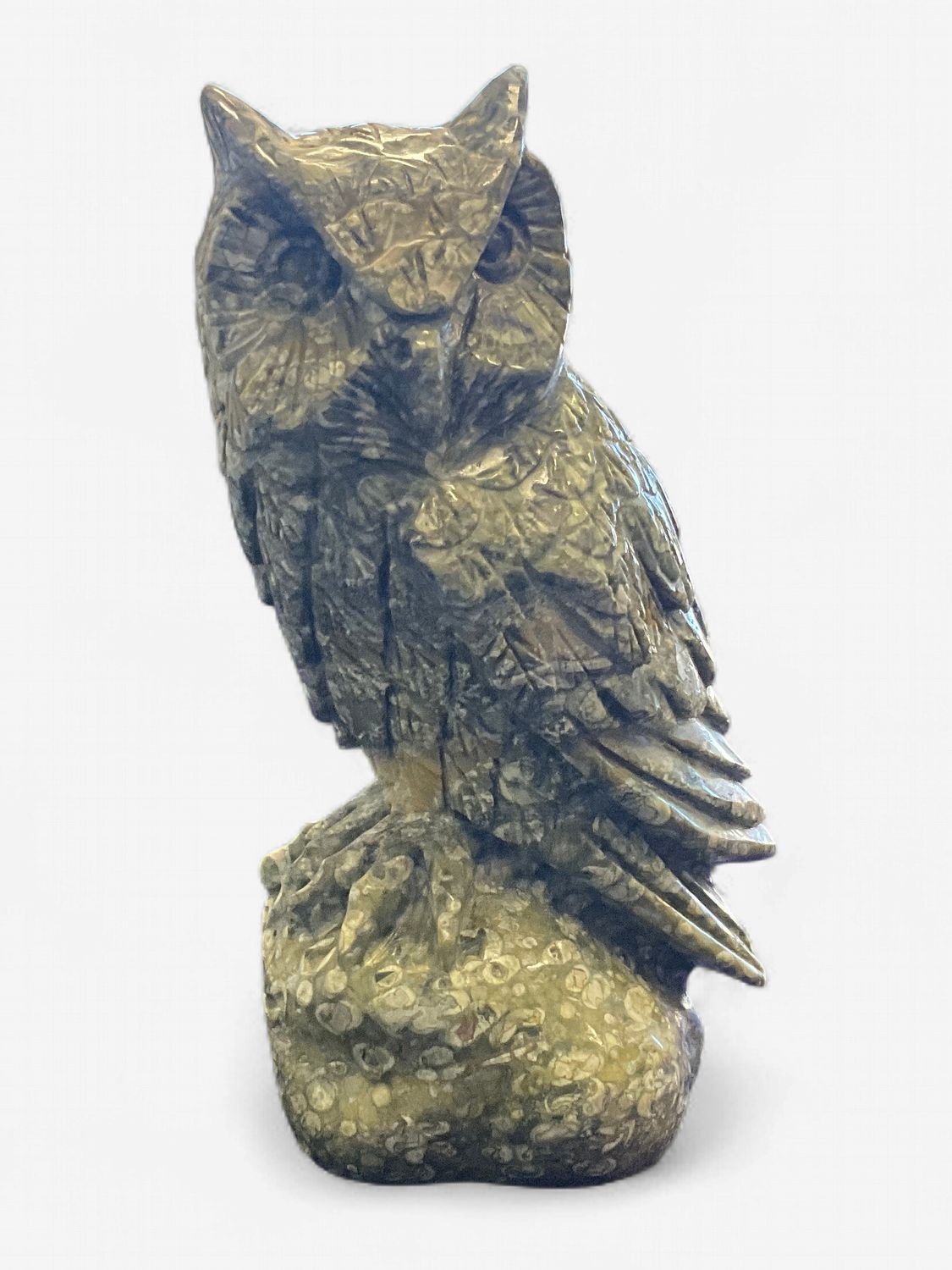 Rainforest Jasper Owl