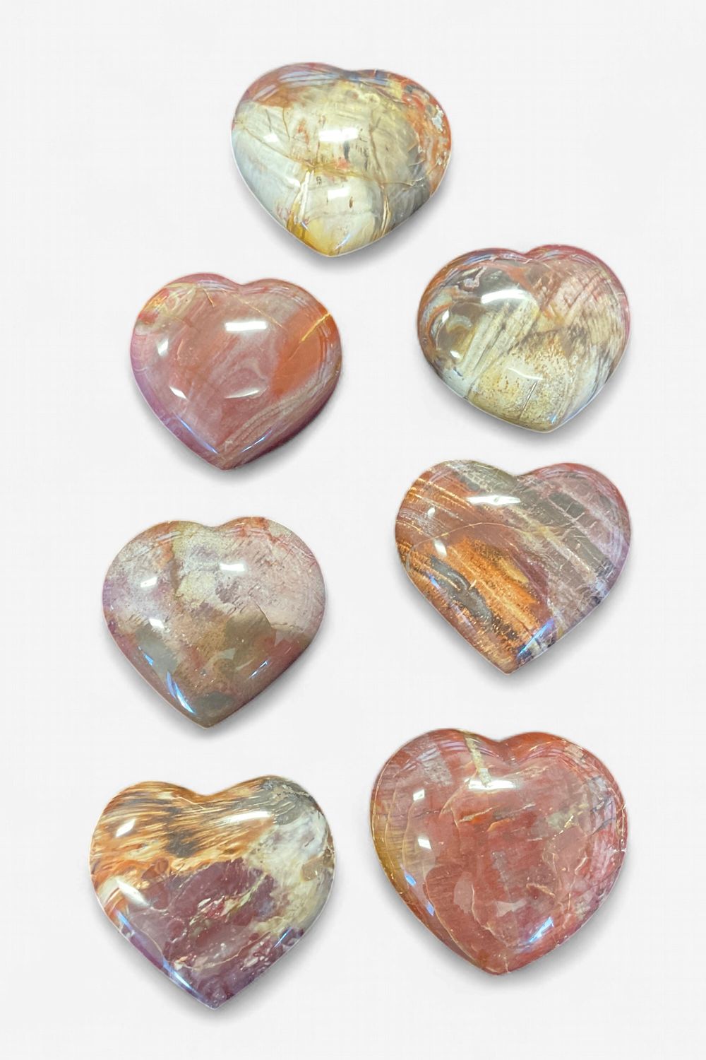 Petrified Wood