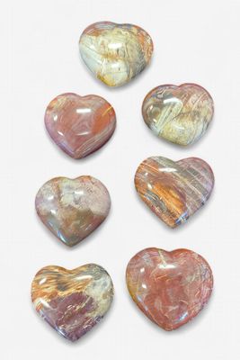 Petrified Wood Hearts