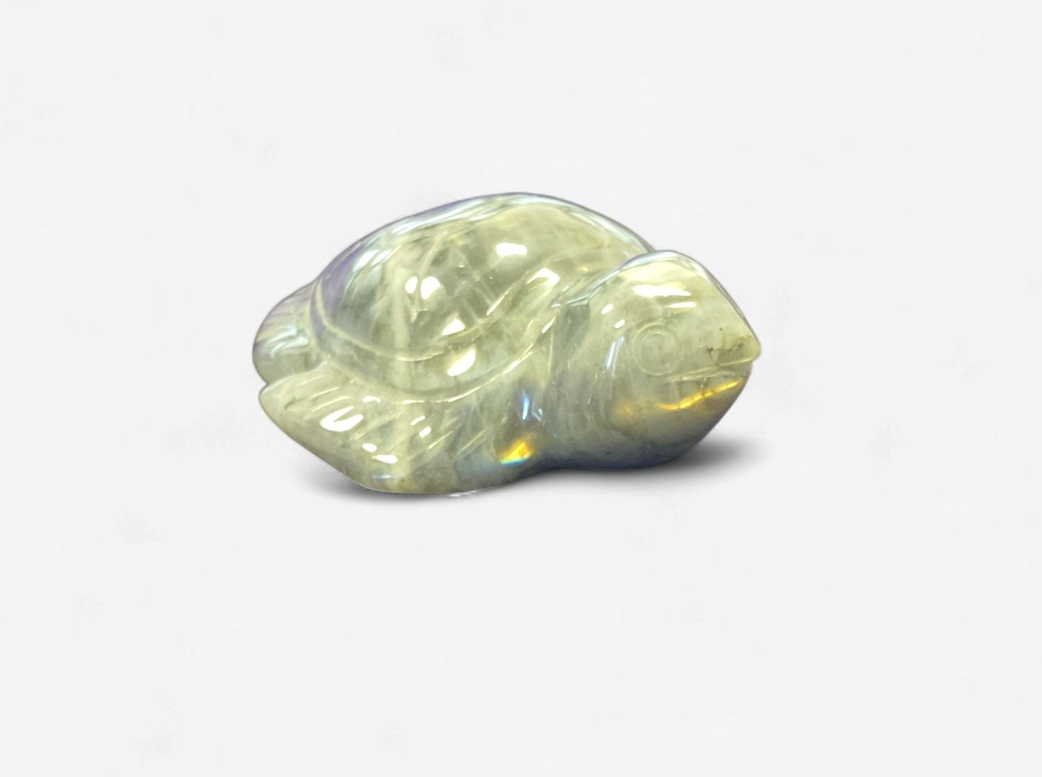 Labradorite Turtle
