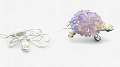 Amethyst Turtle Light