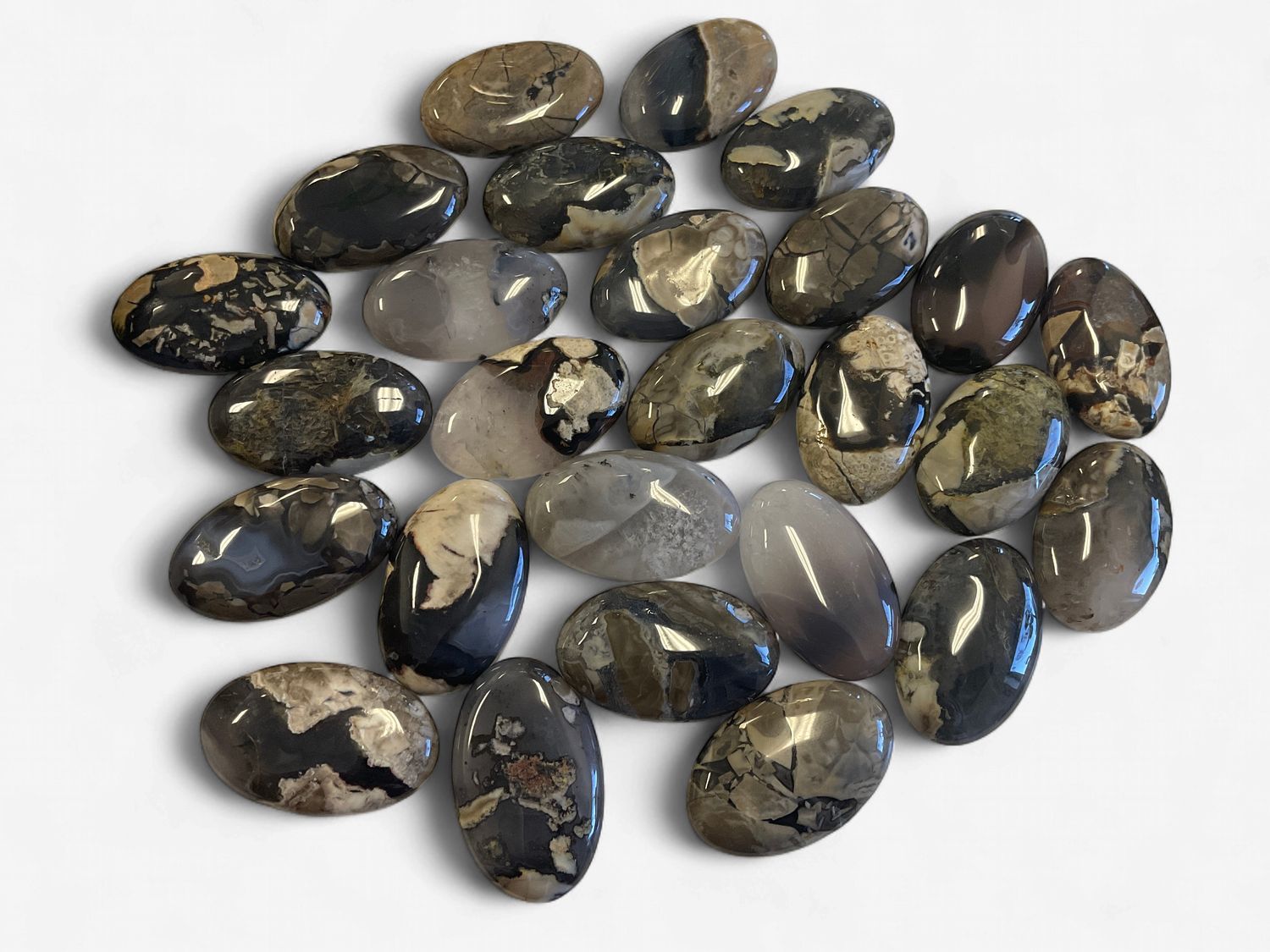 Volcano Agate Palm