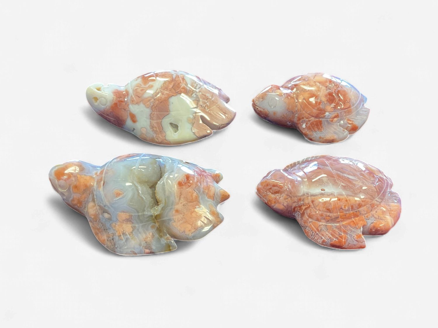 Flower Agate Turtle