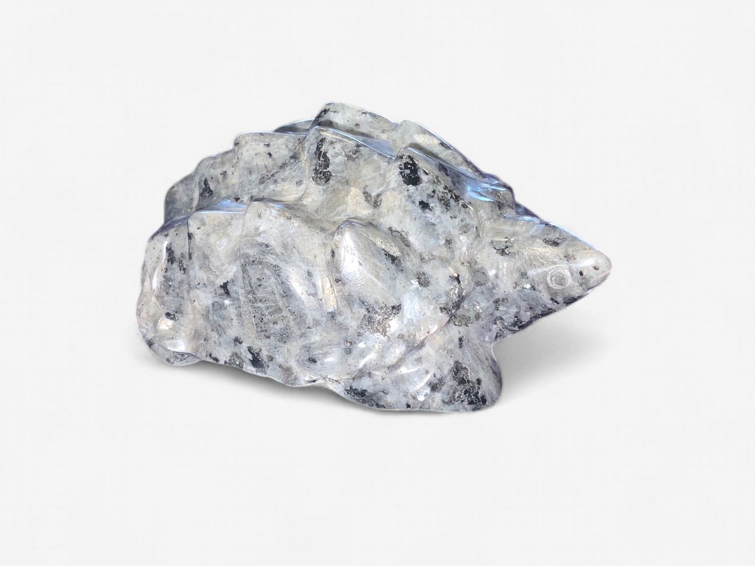 Alligator Snapping Turtle Labradorite