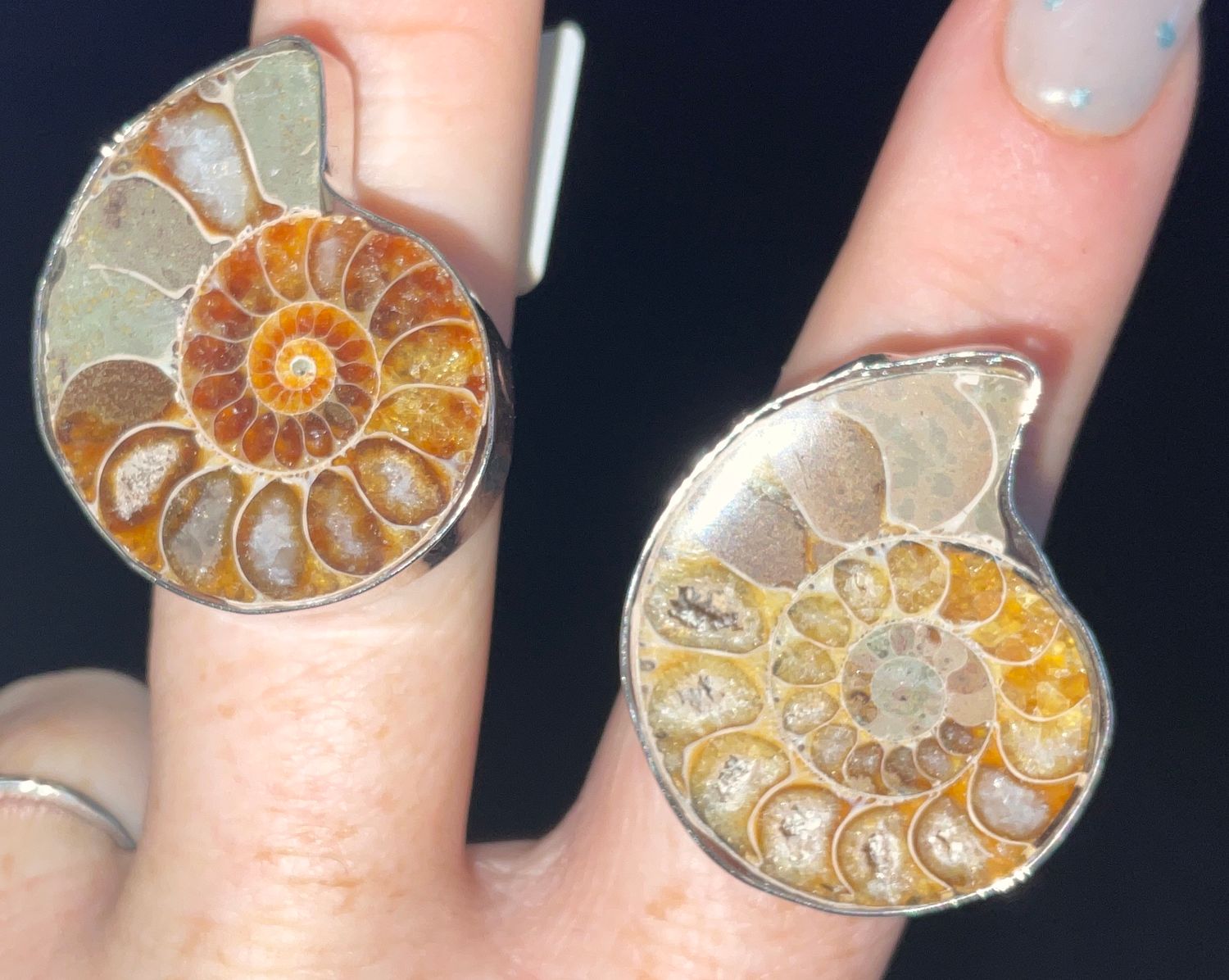 Ammonite Adjustable Rings