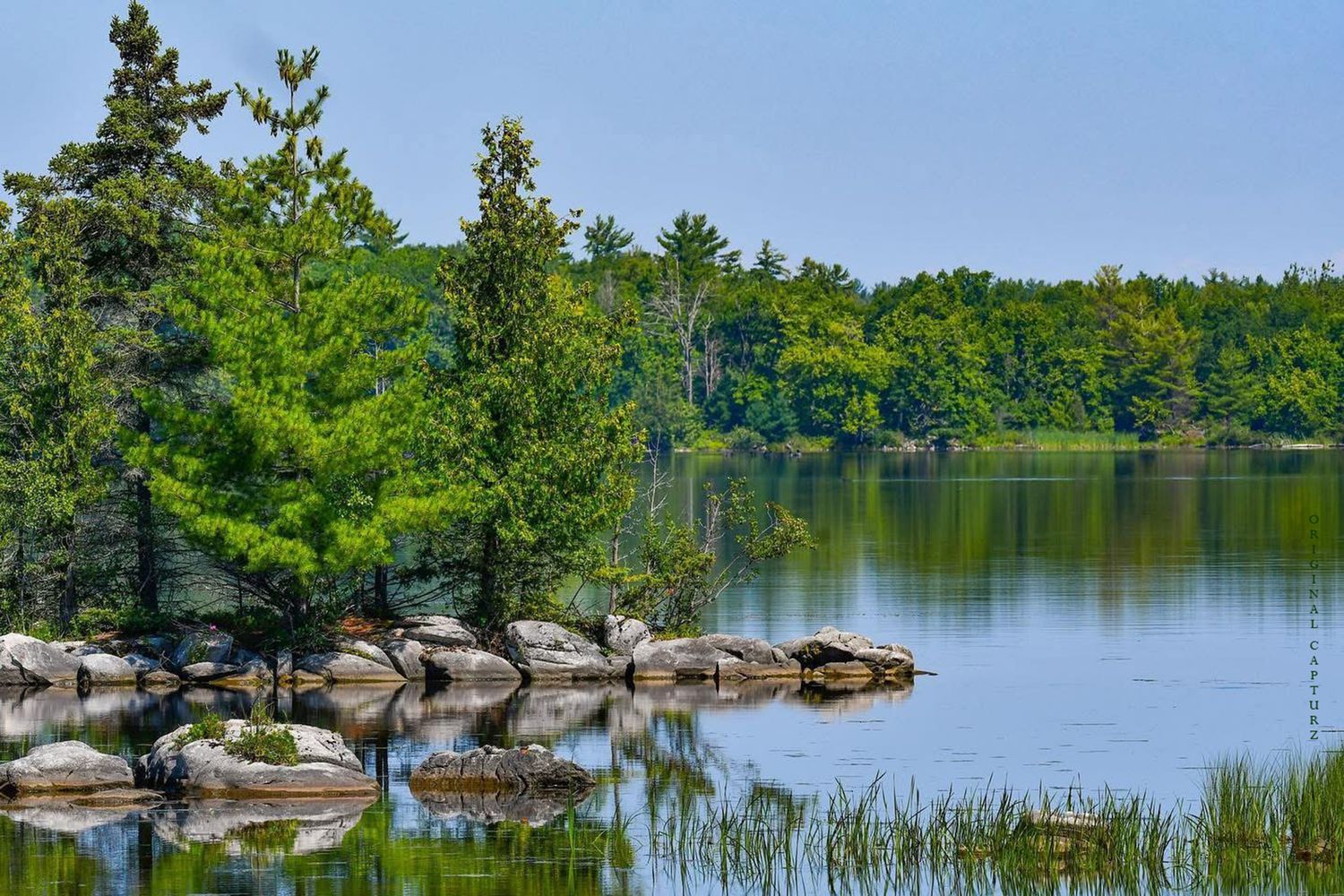 Morris Island