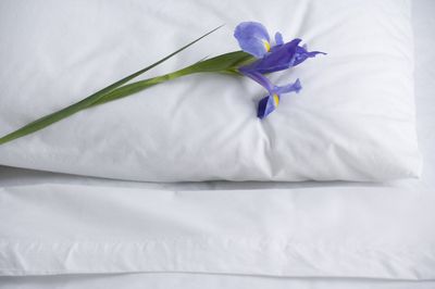 LINGE DE MAISON