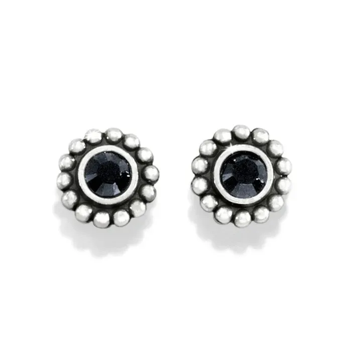 Black Twinkle Mini Post Earrings