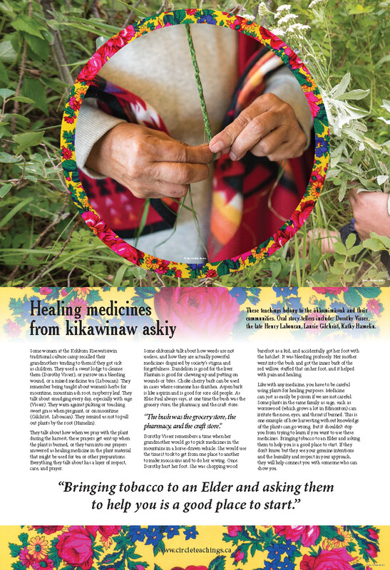 Healing Medicines from Kikawinaw Askiy Poster