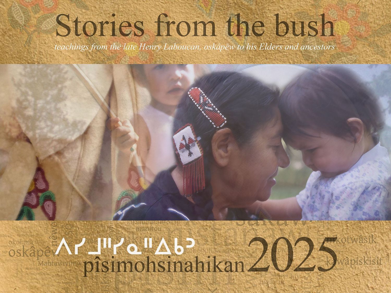Stories from the bush