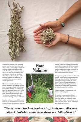 Plant Medicines Poster