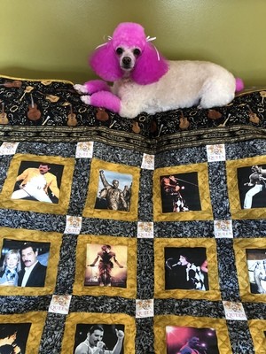 Queen & Freddie Mercury Fan Photo Quilt #2 Queen & Freddie Mercury Fan Photo Quilt #2