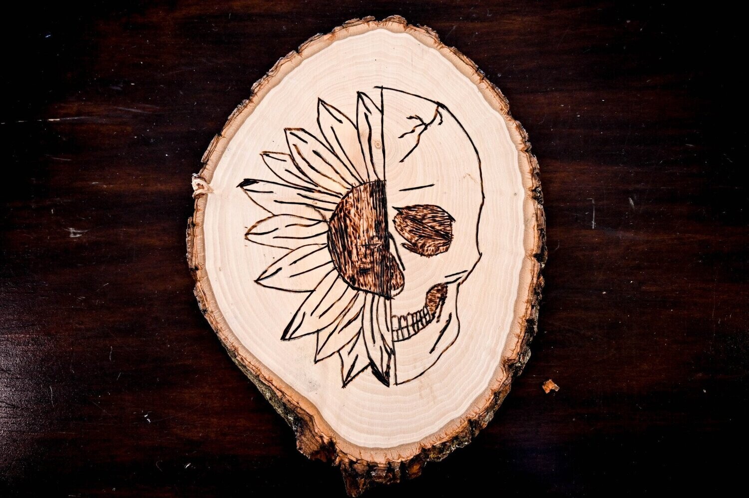 Sunflower Skull Wood Burn Art