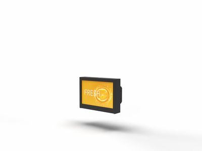 Digital Signage Outdoor-Monitor 32 Digital Signage Outdoor-Monitor 32"