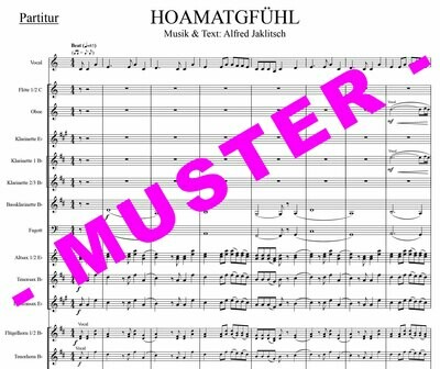 Hoamatgfühl (Die SEER) für Blasmusik