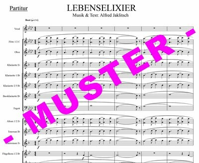 Lebenselixier (Die SEER) für Blasmusik